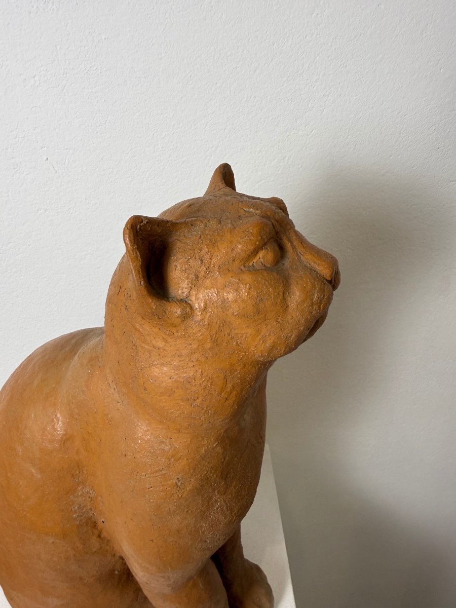 Terracotta Sculpture Of A Seated Cat—19th Century. Montelupo Fiorentino, Tuscany -photo-3