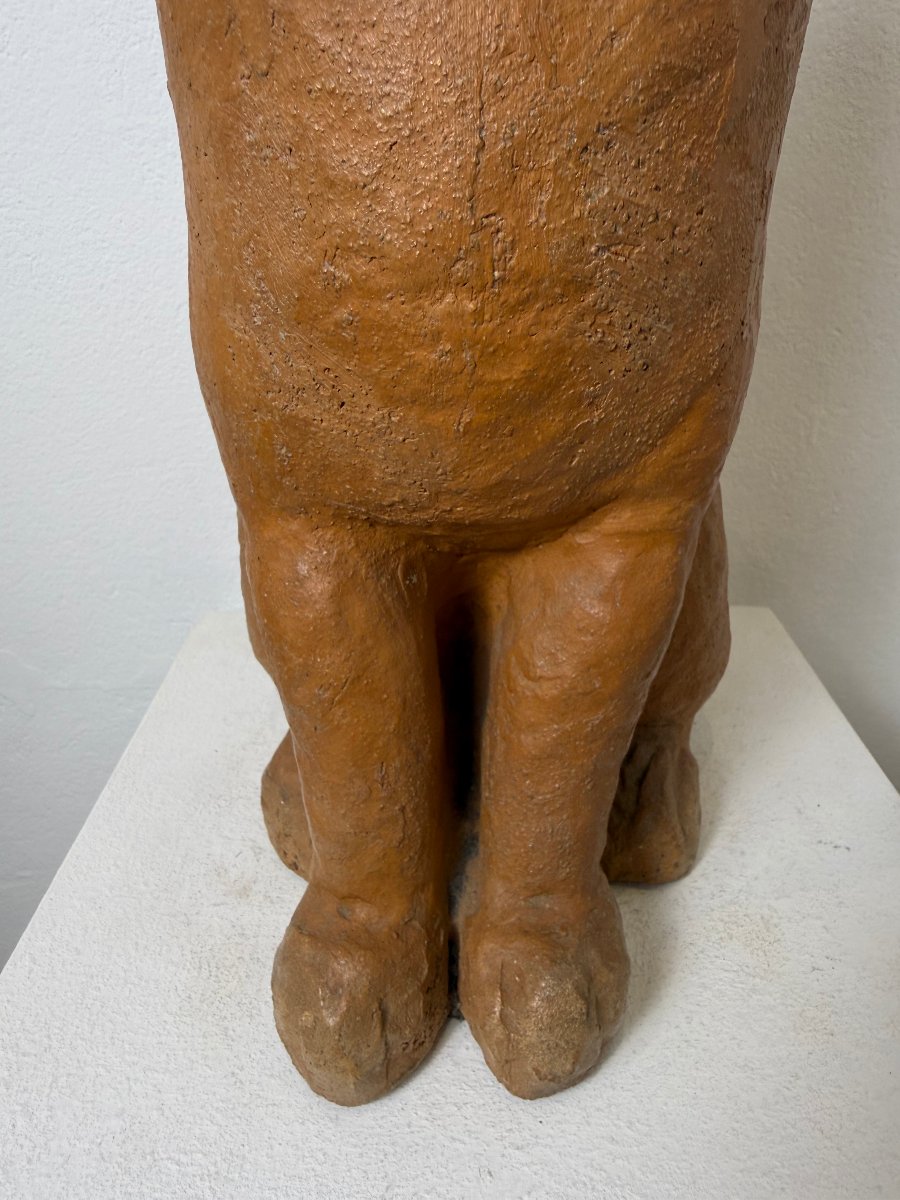 Terracotta Sculpture Of A Seated Cat—19th Century. Montelupo Fiorentino, Tuscany -photo-5