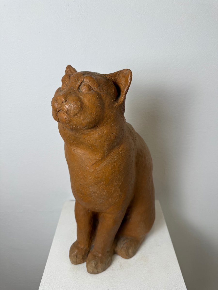 Terracotta Sculpture Of A Seated Cat—19th Century. Montelupo Fiorentino, Tuscany -photo-6