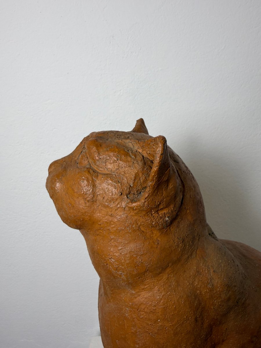 Terracotta Sculpture Of A Seated Cat—19th Century. Montelupo Fiorentino, Tuscany -photo-7